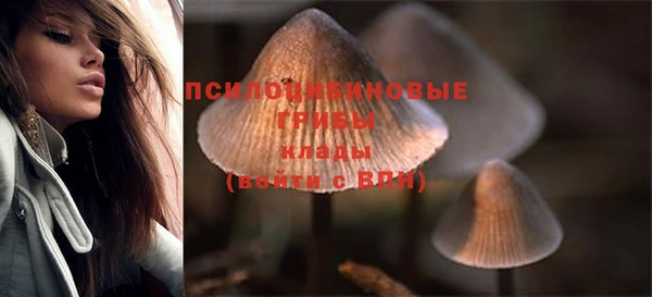 ГАЛЛЮЦИНОГЕННЫЕ ГРИБЫ Вязьма